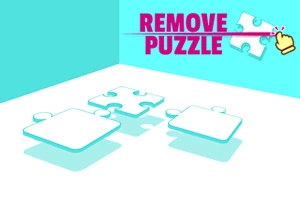 Remove Puzzle