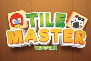 Meister der Steine