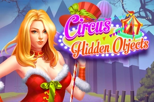 Circus Hidden Objects