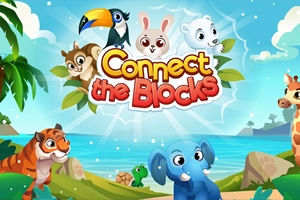Connect the Blocks