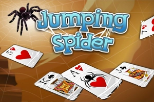 Jumping Spider